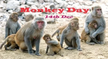 Monkey Day 2019: History and significance of International Day