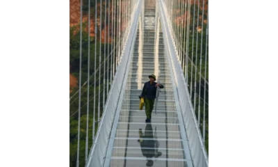 Vietnams new glass bottomed bridge declared as the worlds longest bridge sets Guinness World Record