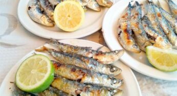 Amazing Facts about Espetos, a Spanish Food Dish of Skewered Sardines