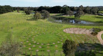 5 Common Myths That Families Have About Green Burials