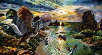 Researchers Think They’ve Found The Missing Link Between Dinosaurs And Birds