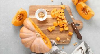 65 Interesting and Amazing Facts about Pumpkins You Should Need to Know