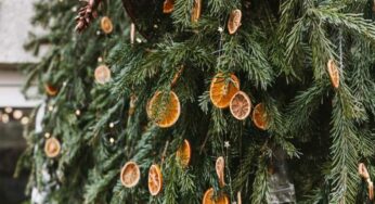 5 Must-Have Advice for Perfect Christmas Tree Maintenance