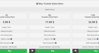 The Impact of YouTube Subscribers on Your Business