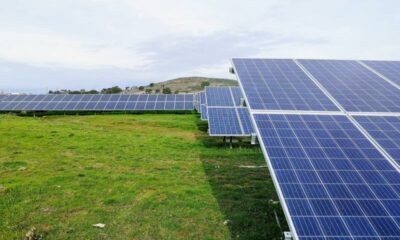 Advertising Techniques for Solar Businesses in 2024