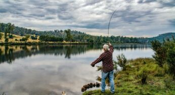 Art of the Cast: Mastering Fly Fishing Techniques