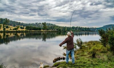 Art of the Cast Mastering Fly Fishing Techniques