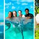 Swim with Dolphins in Grand Cayman An Unforgettable Experience