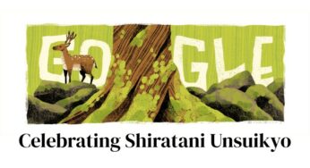 Shiratani Unsuikyo: Google Doodle Celebrates the Most Popular Tourist Destination on Yakushima Island, Japan