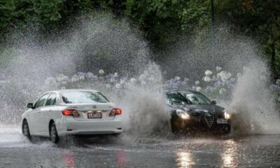 5 Helpful Tips for Safely Driving on Roads Through Floods