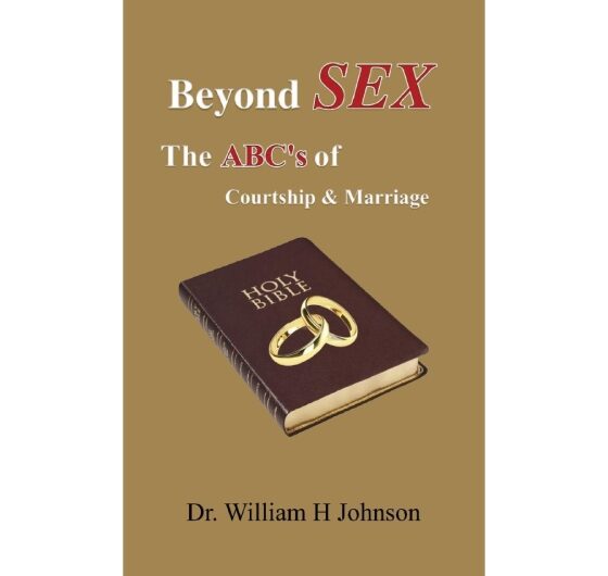 Why You Should Read Beyond Sex The ABC's of Courtship and Marriage