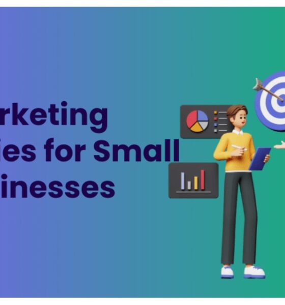 Successful Small Business Marketing Strategies to Market Your Brand