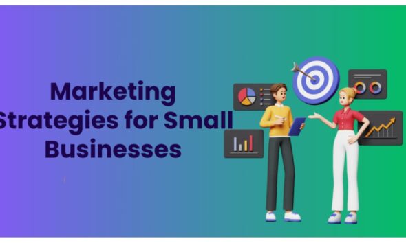 Successful Small Business Marketing Strategies to Market Your Brand