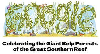 Google Doodle Celebrates the Giant Kelp Forests of the Great Southern Reef