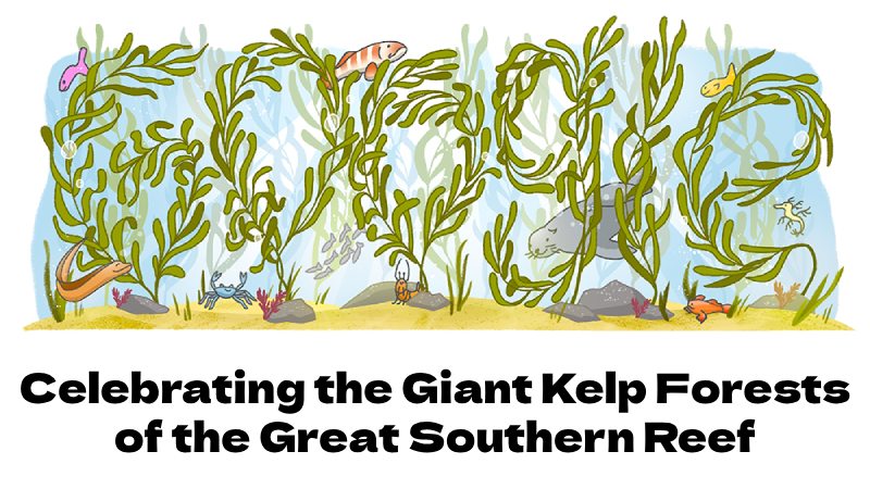 Celebrating the Giant Kelp Forests of the Great Southern Reef Google Doodle