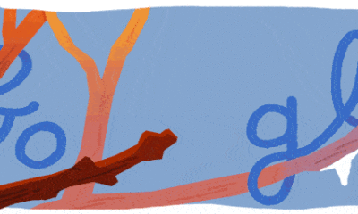 Celebrating Cherry Blossom Season Google Doodle